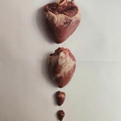Valentine