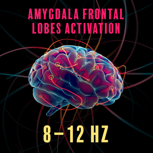 Amygdala Frontal Act 8–12 Hz for Emotional Regulation