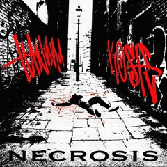 NECROSIS (FT. KOSTE)