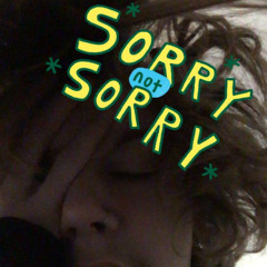 SORRY NOT SORRY (Prod. PAUL)