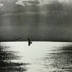 CHIRINGUITO SET Pt.1 TARDE DE PLAYA