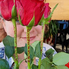 Rose or thorn ? Radio set for Bton 2/2