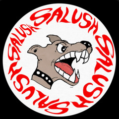 PREMIERE - SALUSH - FUNKY (UNSUPERVISED)