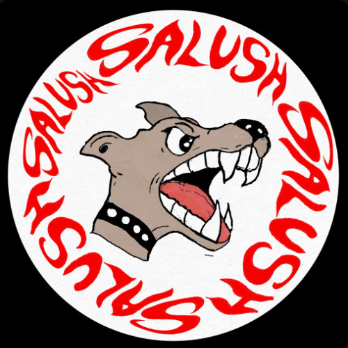 PREMIERE - SALUSH - FUNKY (UNSUPERVISED)