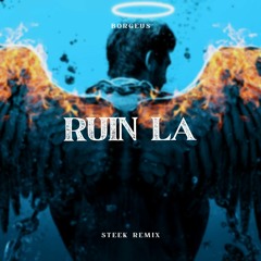 Borgeus- Ruin LA (Steek Remix)