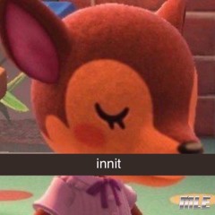 Welcome to Innitland