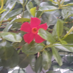 [DEMO] Ambient Track