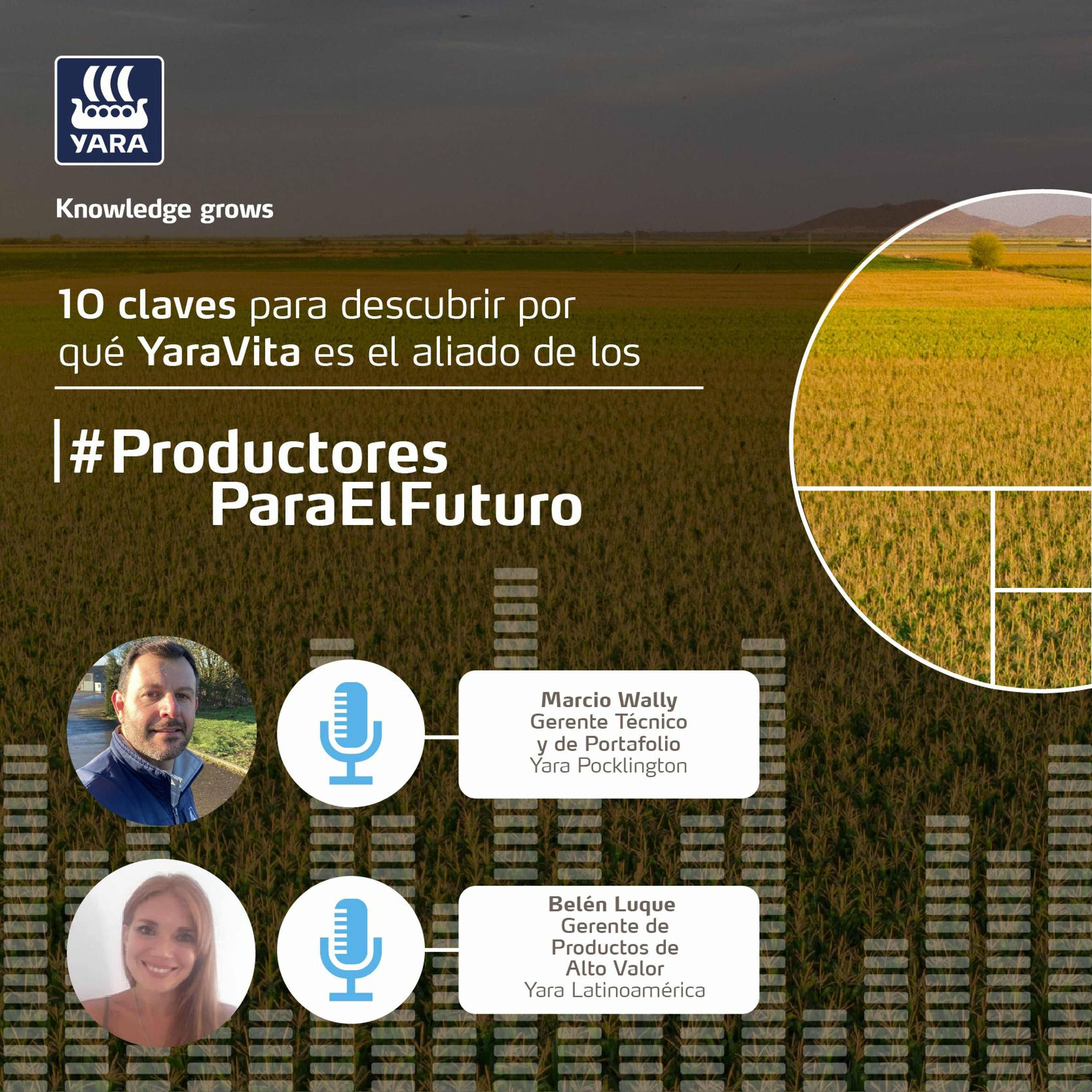 Productores Para El Futuro
