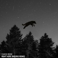 Chico Rose - Right Here (Miscris Remix)