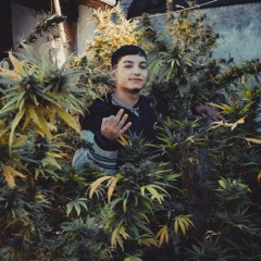 Rompiendo Cadenas FT.TINO