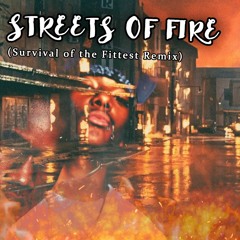 Mobb Deep - Streets of Fire (Survival of the Fittest Remix)