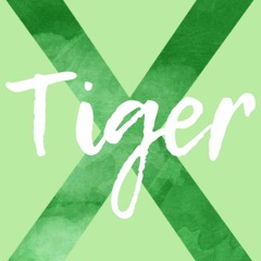 Tiger X. Episode 5. PLPV