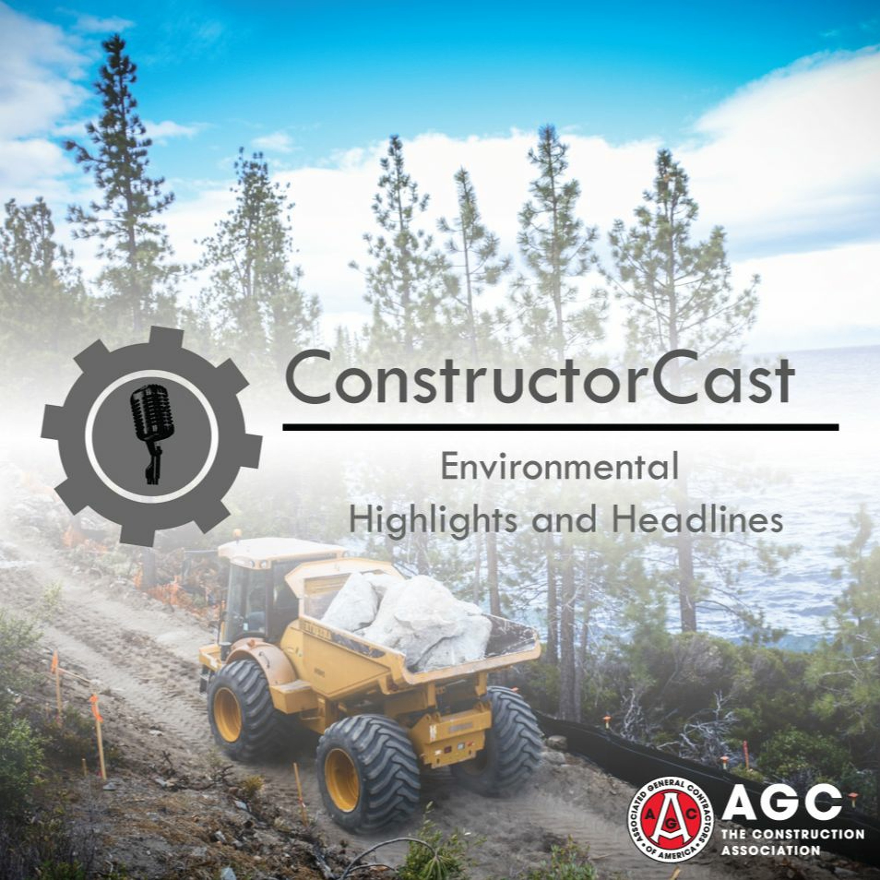 ConstructorCast