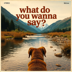 What do You Wanna Say