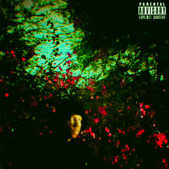 vibeslow (prod. shadow x stuzzy)