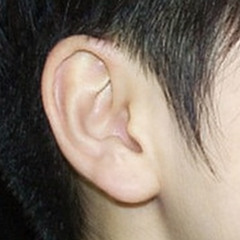 블러드본2026(demo)