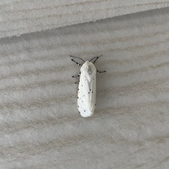 Air It Out (nothing like uuu freestyle)