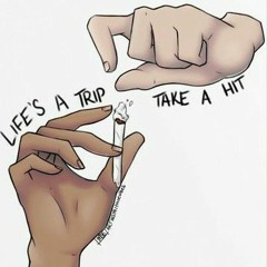 LIFES A TRIP!