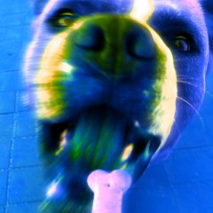 Go Fetch It (Remix)