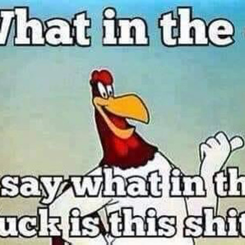 WTF - what the funk