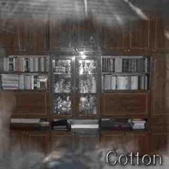 C0TTON 4: YPAH - THE INNER GNOME