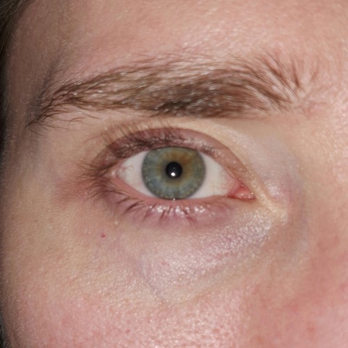 SUGAR HONEY ICED TEETH