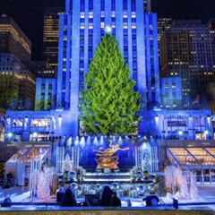 Review Special Price Christmas Light Private Carriage Ride New York City