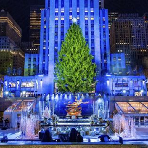Review Special Price Christmas Light Private Carriage Ride New York City