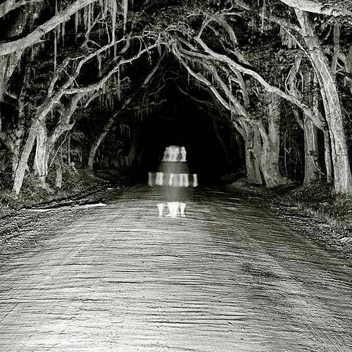 It Follows (Prod. by Arbus Beats)