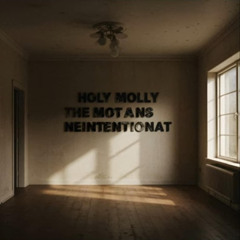 Holy Molly x The Motans - Neintenționat