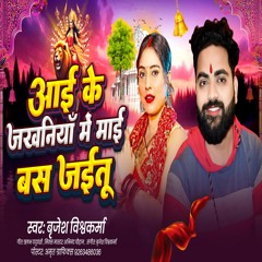Aai Ke Jakhaniya Me Bas Jaitu