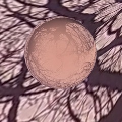 Umbilical Lands And The Shape-Shifting Lives Of Rivers | Bo Choy and Sayana Namsaraeva
