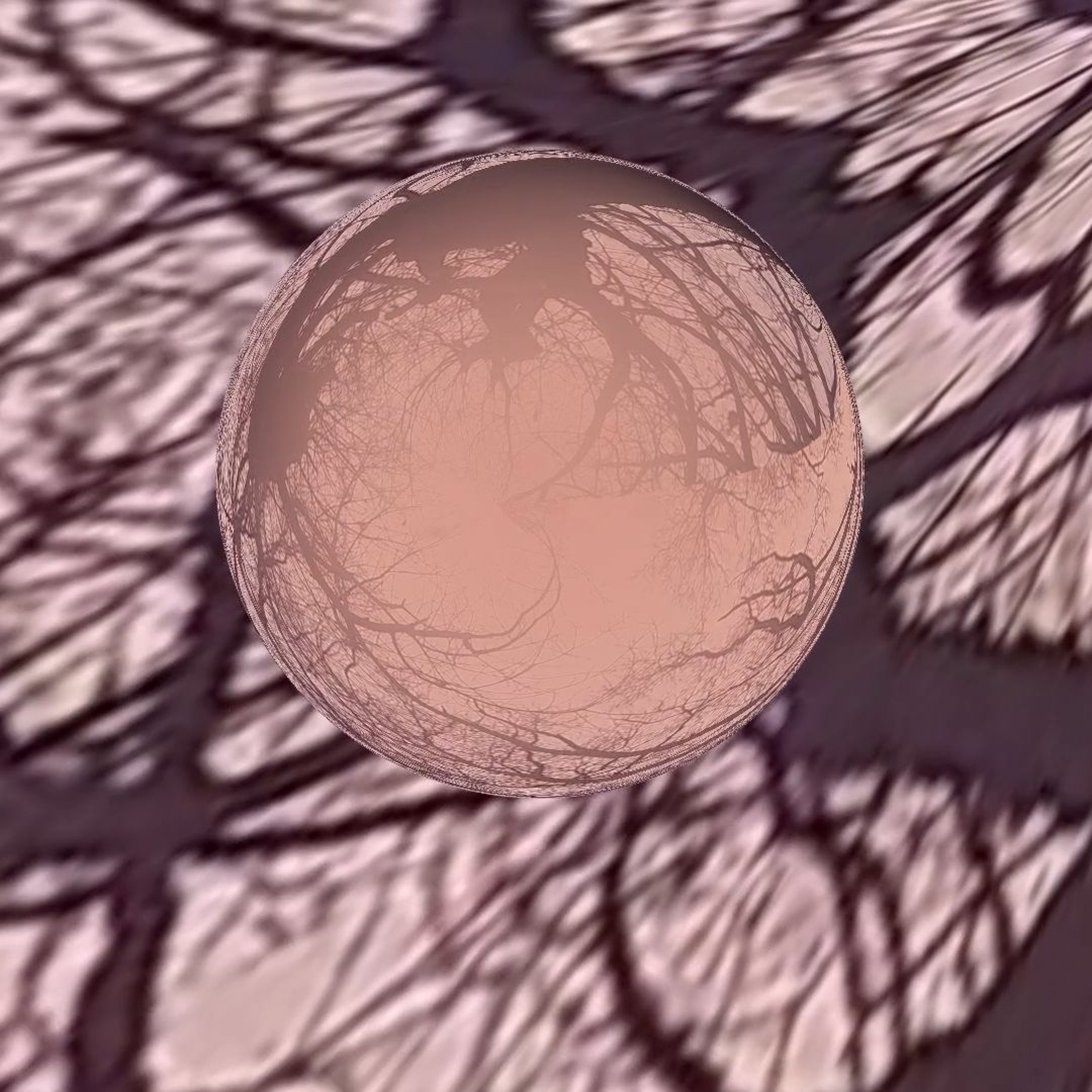 TBA21 on st_age