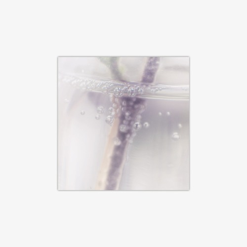 B2 Ovïd - Internal Dialog (snippet)