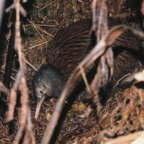 I sent a ROCKET to the MOON.ππ Dark π₯