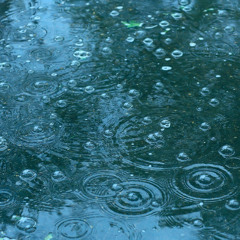 The Memory of Rain on an April Afternoon