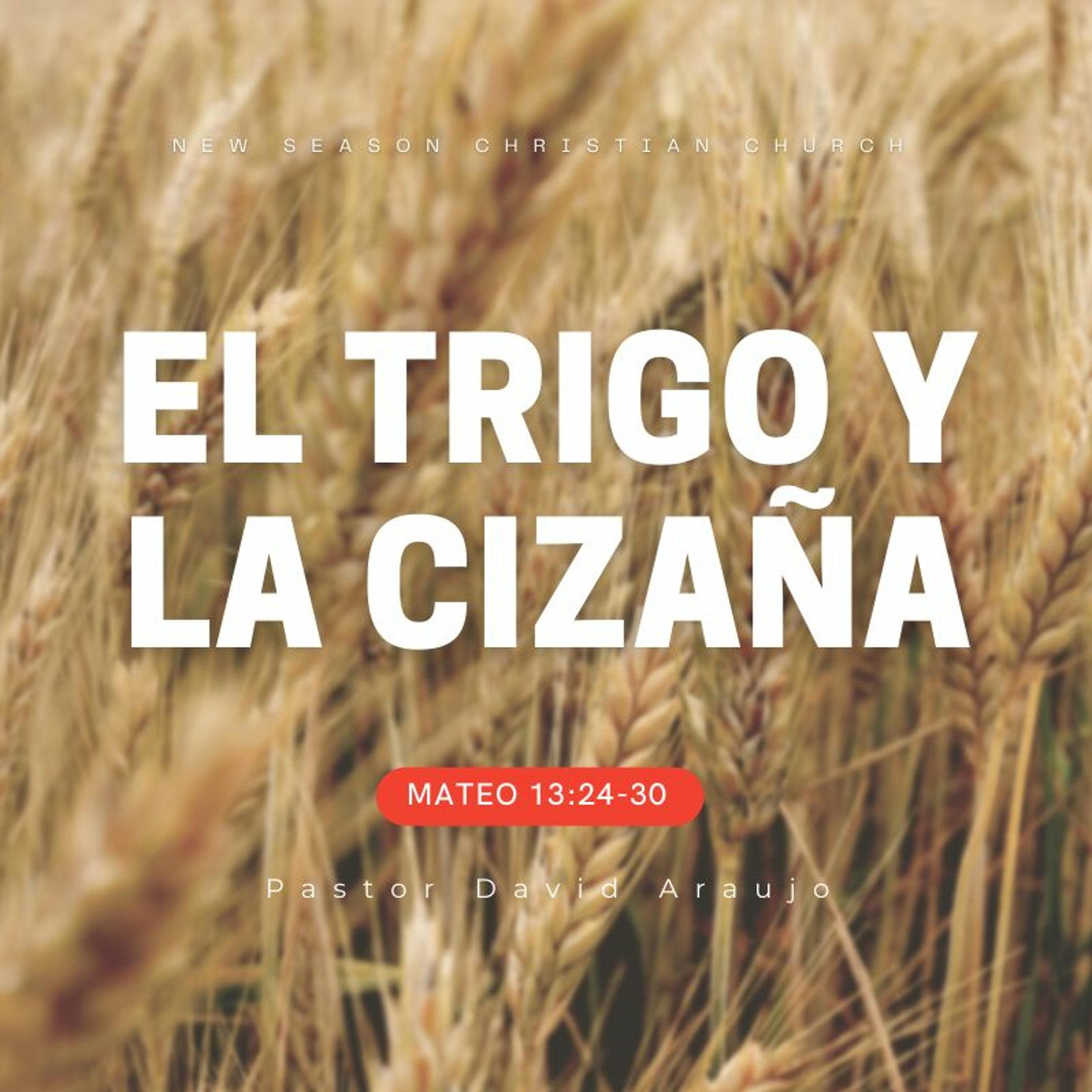 El Trigo Y La Cizaña :: Pastor David Araujo :: 06.27.21 episode artwork
