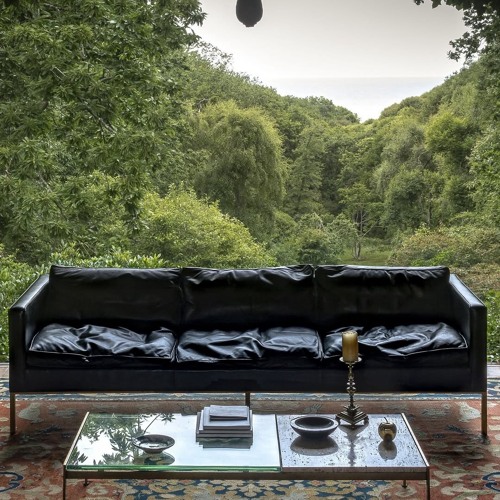 •out the country•