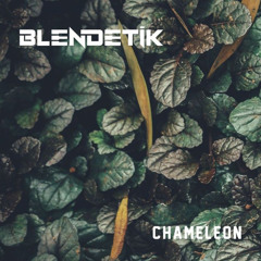 BLENDETIK - Chameleon