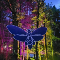 Reso MSNT XII Festival 22