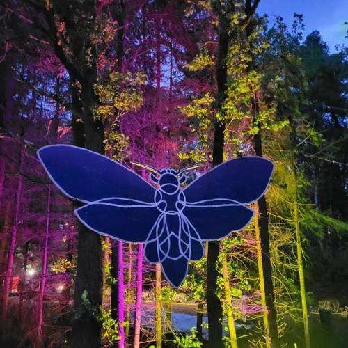 Reso MSNT XII Festival 22