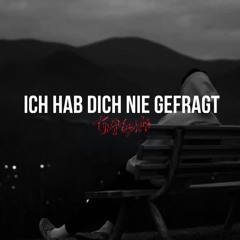 ICH HAB DICH NIE GEFRAGT [TEKK REMIX]