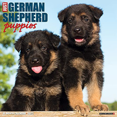 [Read] PDF 💜 Just German Shepherd Puppies 2022 Wall Calendar (Dog Breed) by  Willow