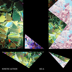 Kinetic Action LP