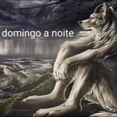 domingo a noite🐺