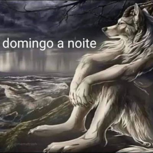 domingo a noite🐺