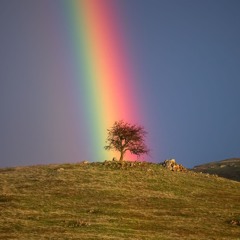 Take Me To The Rainbow