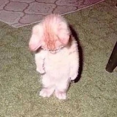 Brooskie - Not Into You (You called her a hoe because she said no) tiktok remix