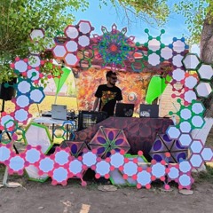 fu cat - the Dream Vision - sunrise set