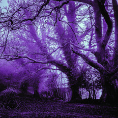 important things (slowed and reverb)